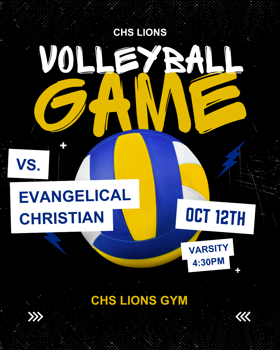 volleyball flyer